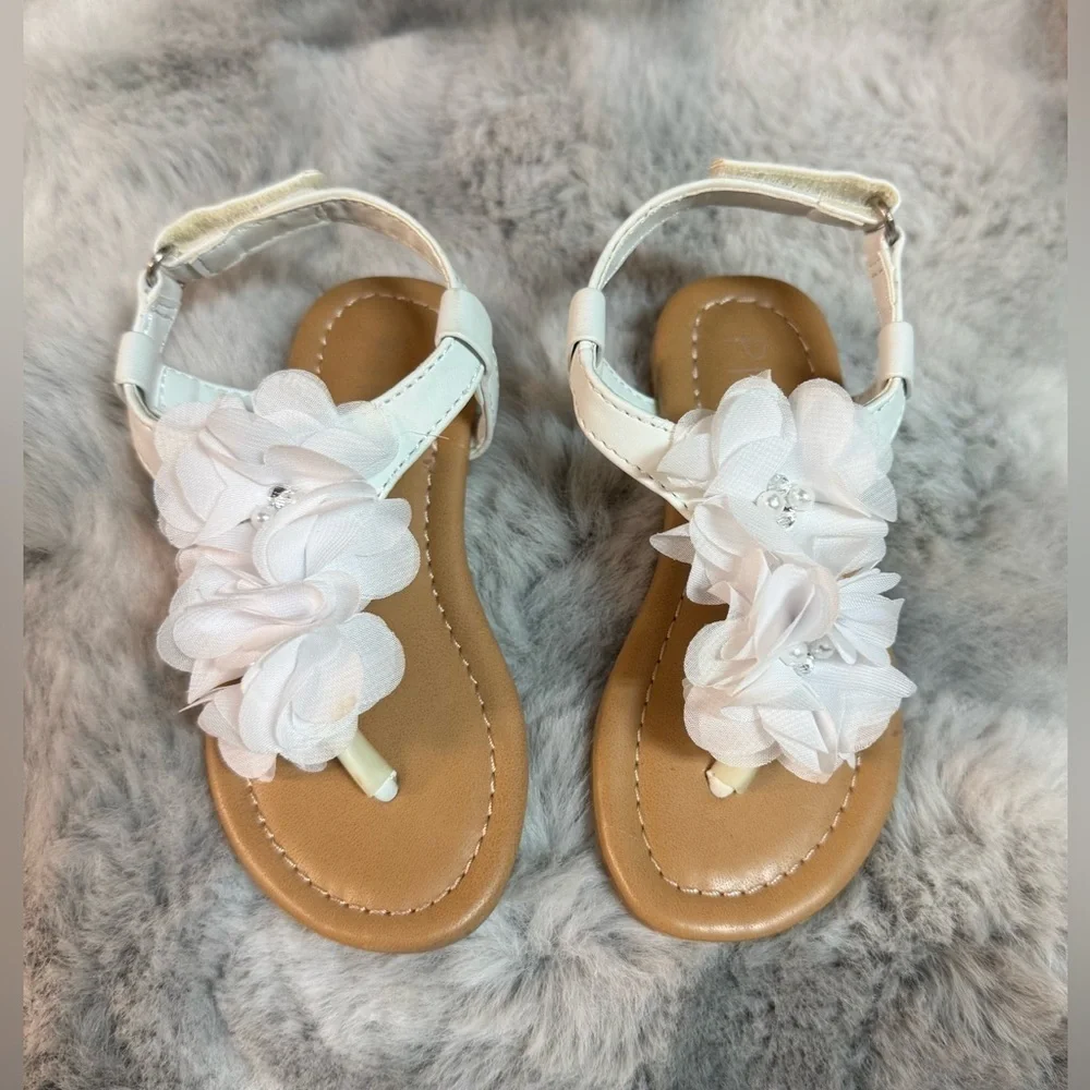 Piper blue tori